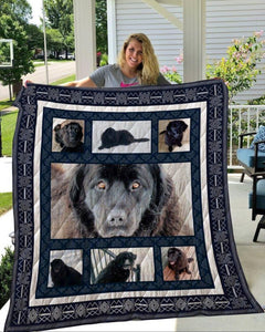 Newfoundland 1 Quilt On Sale!